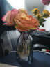 盛世泰堡 玻璃花瓶插花摆件仿真花干花满天星水培水养植物容器小花瓶餐桌玄关客厅装饰 15cm 实拍图