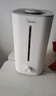 美的（Midea）【轻音除菌】大雾量加湿器 家用卧室母婴舒润保湿雾化喷雾器 办公室大面积桌面空气净化低噪加湿器 【巨雾加湿】桌面安睡级 实拍图