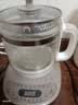 通用小熊壶身养生壶YSH-D15Y1/C15F1/C15K1/C15W1/B18H8/B18T1 YSH-B18H8【下单前联系客服】 实拍图