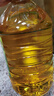 金龙鱼 食用油 非转基因 物理压榨玉米油6.18L（蕴含植物甾醇） 实拍图