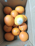 玖原农珍 源头直采脐橙新鲜橙子含箱10斤净重9斤优选果150-300g 水果礼盒 实拍图