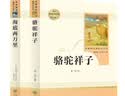 骆驼祥子+海底两万里 人教版 语文名著精选套装 七年级下 实拍图