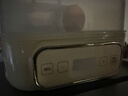 美的（Midea）煮蛋器蒸蛋器双层家用迷你小蒸锅 早餐鸡蛋羹自动断电防干烧便携式家用MZ-ZDE2015D 实拍图
