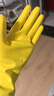 3M橡胶手套 1双装中号薄巧型防水防滑家务清洁手套 厨房洗衣 柠檬黄 实拍图
