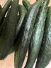 山东密刺小条黄瓜新鲜蔬菜新鲜采摘生吃生鲜 山东刺黄瓜 3斤 净重 实拍图