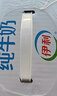 伊利严选牧场纯牛奶 250ml*16盒 全脂牛奶 礼盒装新老包混发 12月底产 实拍图