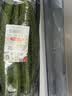 密农人家新鲜长黄瓜500g 绿黄瓜  黄瓜味浓带刺青瓜 生吃拌菜黄瓜蔬菜 脆玉长黄瓜500g 实拍图