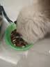 亿迪冻干猫粮幼猫成猫粮蓝莓紫薯10斤全价蓝猫布偶英短国产5kg次日达 实拍图