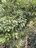 牧萌儿童雨鞋套男女童防水脚套防滑耐磨水鞋学生卡通雨靴 独角兽M 实拍图