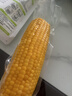 北纬47度水果玉米2.64斤(220g*6根)开袋即食鲜甜玉米棒 低脂低GI早餐苞米 实拍图