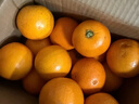 湖南麻阳冰糖橙冰糖柑果园产地直发新鲜孕妇老人水果当季60-65mm 麻阳冰糖橙带箱橙2斤装60-65mm普箱 实拍图