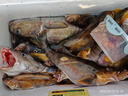 伊酷达（ECOODA）虹道小船竿20-30号碳素实心竿稍轻型船钓竿近海小船杆底钓鱼竿 2.08m 40号 枪柄（负荷30-100#） 实拍图