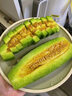 粤迎山东羊角蜜甜瓜【多地次日达】头茬香瓜新鲜应季水果脆甜多汁整箱 4斤尝鲜装【当季尝鲜-较划算】净3.0斤 SSS+级精选果【单果300g+】蕞甜 实拍图