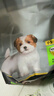 冠能狗粮【定期购】小型犬幼犬狗粮2.5kg 全价狗粮 添加牛初乳 实拍图