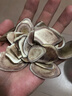 内廷上用胖东来同款鹿茸片正宗特级鹿茸血片梅花鹿中药材新鲜泡茶男性泡酒 [精选装]鹿茸片(一晚一片真男人） 50g*1罐 【热销60万+】 实拍图