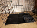 宠乐乖（CHONGLEGUAI）狗笼猫笼狗笼子中小型犬带厕所幼犬折叠便携猫笼子猫咪兔笼850ZG 实拍图