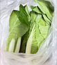 山东农家种植新鲜奶油小白菜时令蔬菜绿叶菜涮菜清脆巨嫩好吃 【泡沫箱发货-到手鲜】小白菜（5斤） 实拍图