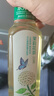 农夫山泉东方树叶茉莉花茶500ml*15瓶无糖茶饮料0糖0脂0卡整箱装 实拍图