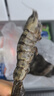 三只海豚黑虎虾大号 净重2斤 30/40规格 大虾 生鲜虾类 聚餐火锅 海鲜烧烤 实拍图