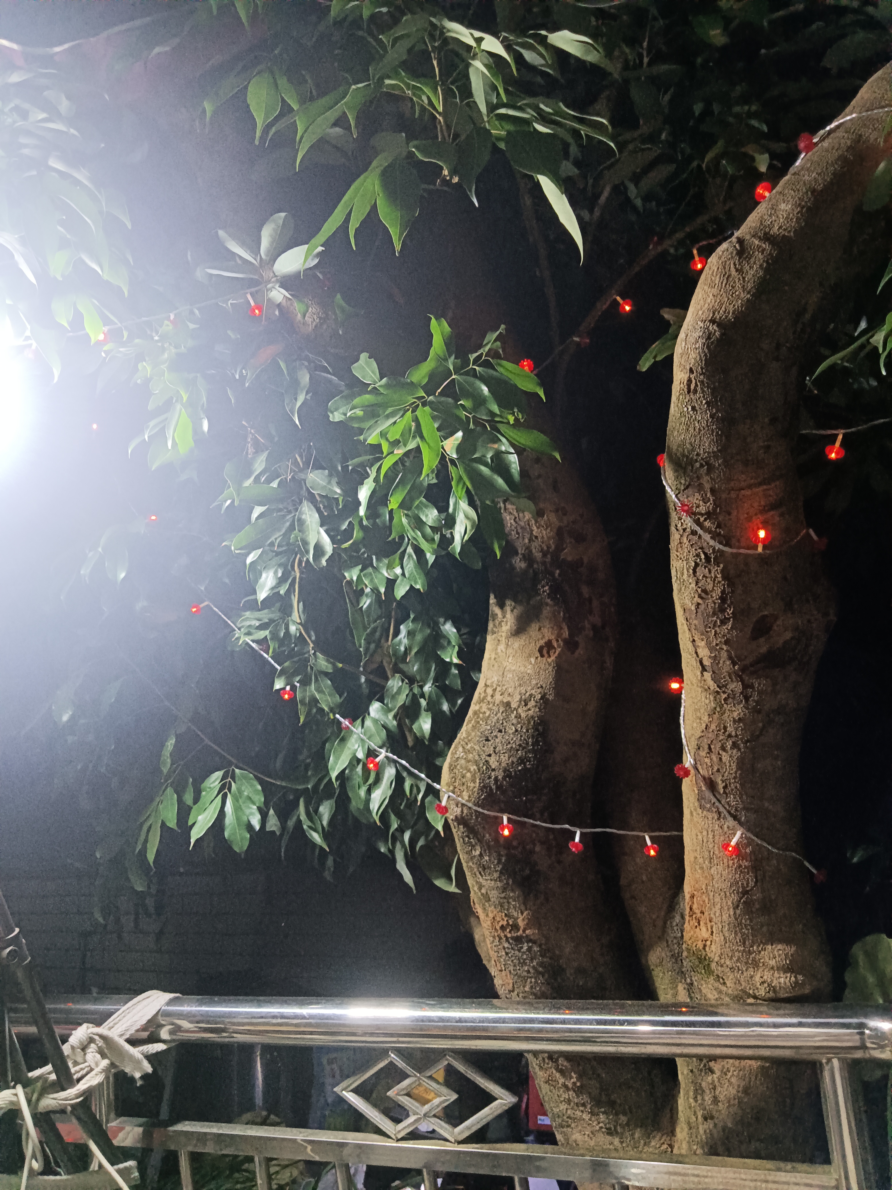 威佳黑色大垃圾袋加厚100只70L物业商用手提垃圾袋背心式中号80*90cm3丝 实拍图