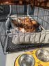 泽硕宁狗笼子大中小型犬狗窝带厕所折叠便携猫笼子超大号狗狗围栏宠物笼 黑色狗笼【加粗加固】赠厕所托盘 中大型犬【30斤内】71*50*60 无毛边/无倒刺/不卡脚 实拍图