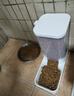 憨憨宠 宠物自动喂食器猫碗套装 猫粮盆狗碗盆自动投食器狗狗猫咪饮水机 自动喂食器+喂水器 4.2斤+3.8L 实拍图