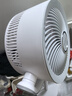 艾美特（AIRMATE）【小暴风PRO】空气循环扇家用大风力摇头电风扇卧室安静轻音小风扇桌面台式节能落地扇电扇 X231 实拍图