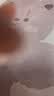猫人男士内裤男纯棉本命年马年大红色四角裤袜子结婚礼物男生平角短裤 实拍图