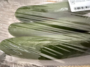 【水果菜】荷兰水果黄瓜约400g 实拍图