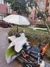 凌云鹤电动车雨伞支架婴儿车遮阳伞固定神器电瓶推车撑伞支架自行车配件 折叠伸缩款-黑色【适合25mm圆管口径】 【牢固耐用 送安装工具】 实拍图
