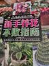 新手养花不败指南 103种沾土就活的植物，再也不当“园艺杀手” 实拍图