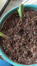 史丹利疏松透气营养土养花通用型专用种植土花土家用种花种菜土壤 实拍图