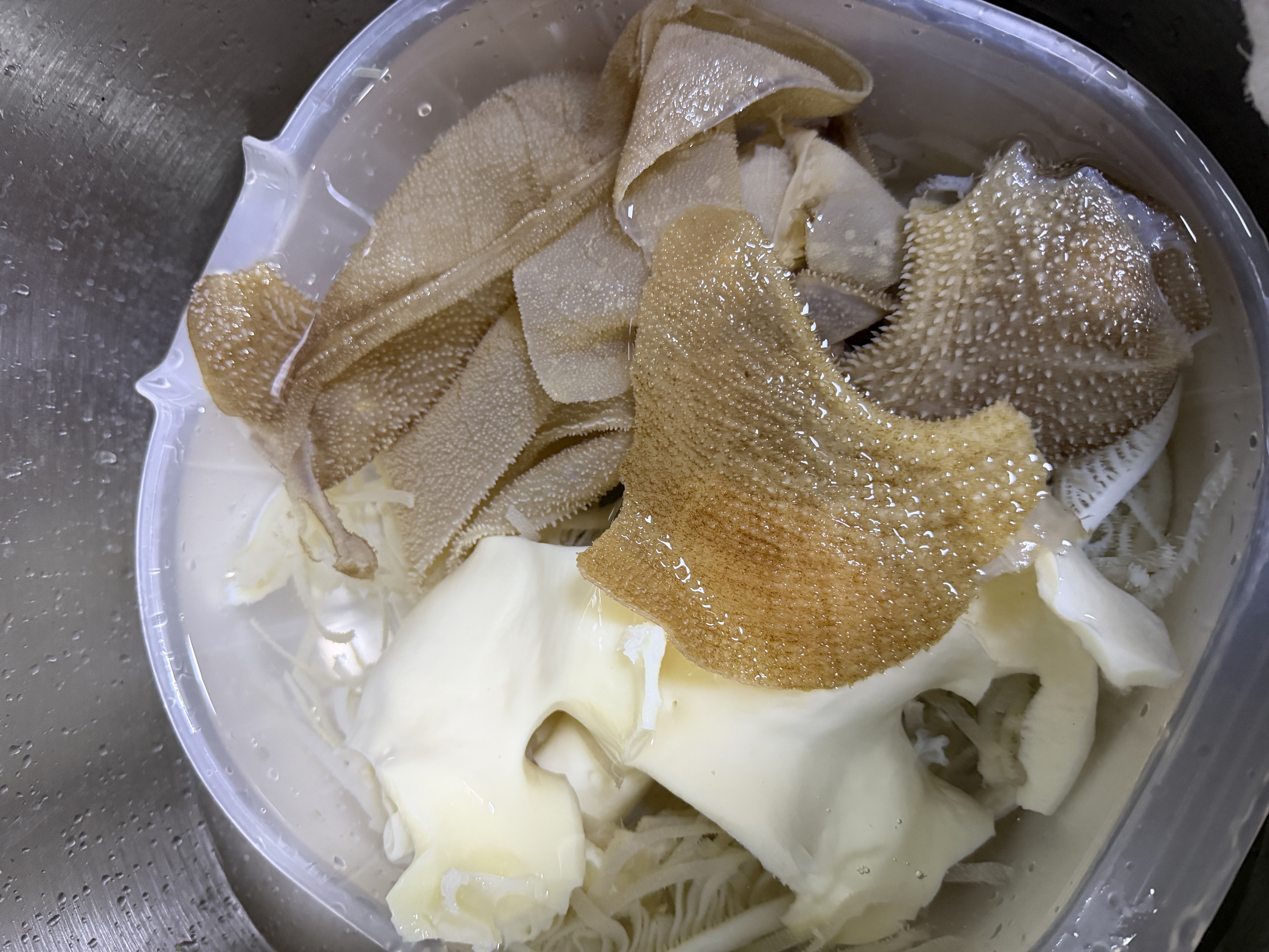 赶牛人大片毛肚新鲜 千层肚 黄牛百叶牛杂金钱肚 叶片 商用火锅冒菜食材 精品牛黄喉1斤 新鲜日期（发顺丰快递） 实拍图