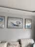 诗六艺家饰客厅装饰画北欧现代简约沙发背景墙挂画三联画大气轻奢壁画晶瓷画 前程似锦（铝合金外框） 晶瓷画左右50*70+中间100*70亮面 实拍图