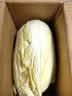 【霜打菜】新鲜大白菜黄心大白菜更甜早餐火锅超市京东包邮 河南大白菜3-5斤净重 实拍图