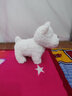 babycare&bct儿童毛绒玩具狗电子宠物哈基米玩偶节日生日新年礼物西高地犬 实拍图