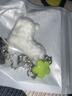 清凉冰透感苹果植绒小狗小猫手机链夏季多巴胺手机包包挂件 幸运小羊毛绒手机链 实拍图
