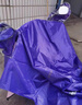 天堂伞雨衣电动车雨披摩托车雨衣雨披电瓶车雨披加大加长加厚牛津布料 单人-紫色-牛津布提花面料 实拍图