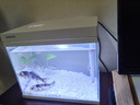 森森（SUNSUN）超白鱼缸一体缸自循环客厅水族箱桌面家用懒人免换水小型金鱼缸 超白HEJ300标配 带滤材+棉 实拍图