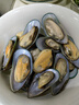 海鲜世家新西兰熟冻原汁全壳青口贝净含量1kg 21-26只/袋原装进口海鲜贝类 实拍图