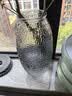 玻璃花瓶摆件客厅插花水养雪柳马醉木专用大肚花瓶透明轻奢高级感 30cm菩提灰色 实拍图