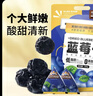 三只松鼠每日蓝莓干500g 蜜饯果干酸甜休闲零食下午茶孕妇儿童健康零食 实拍图
