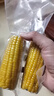 当季新货头茬东北黄甜糯玉米棒真空包装低脂黄糯大棒甜东北黏苞米 黄糯玉米【120-160克】6支 实拍图