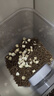 PAPIFEED可充电猫咪自动喂食器宠物自动定时定量猫粮狗粮投食机 实拍图