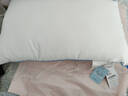 水星家纺枕头枕芯酒店枕头护颈枕头芯家用一对纯棉抗菌可水洗低枕48x74cm 实拍图