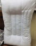 富安娜家纺枕头芯颈椎枕决明子草本枕芯抗菌枕头舒睡一对装74*48cm白 实拍图