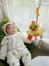 泰迪拾光婴儿车挂件玩具抽抽乐玩具0-1岁抬头训练挂件推车床铃鸭子拉拉乐 实拍图