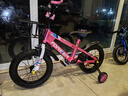 永久（FOREVER）儿童自行车男女童车小孩单车14寸脚踏山地车3-6岁平衡车粉色 实拍图