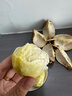 京鲜生 泰国进口金枕头鲜榴莲 净重7-8斤 1个装 生鲜 新鲜水果 实拍图