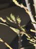 妙馨思药箱家庭装药品收纳盒医药箱家用多层透明大容量便携式医疗小药箱 实拍图